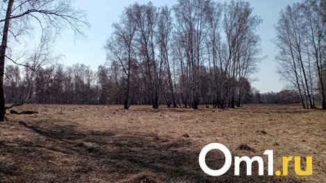 Омская область – главный «горящий» регион России