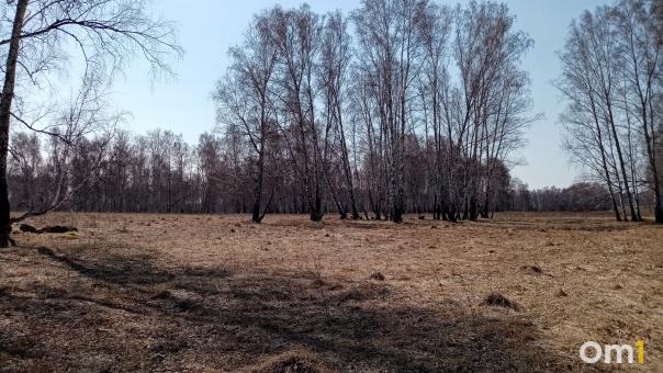 Омская область – главный «горящий» регион России