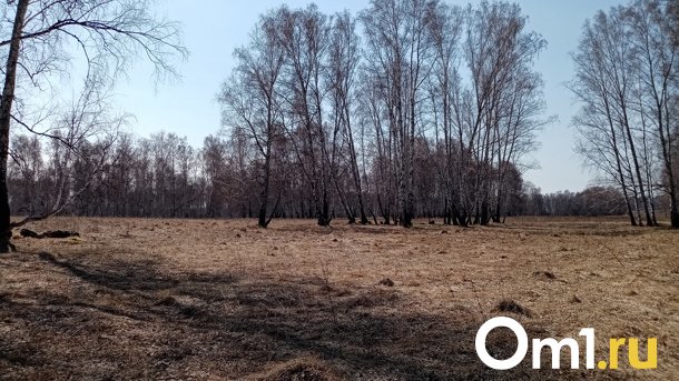 Омская область – главный «горящий» регион России