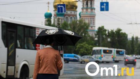 Стало известно, какая погода ждёт Омскую область на выходных