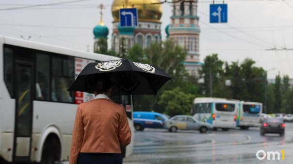 Стало известно, какая погода ждёт Омскую область на выходных
