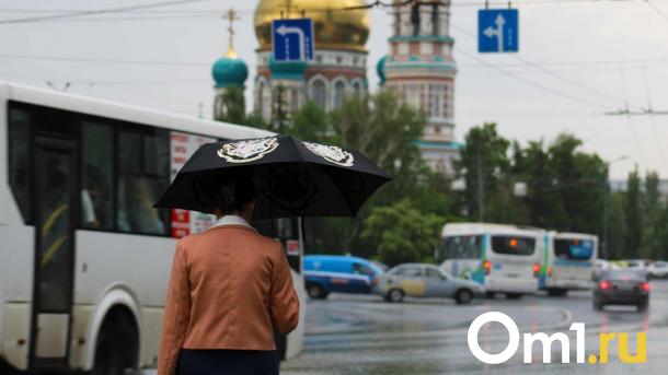 Стало известно, какая погода ждёт Омскую область на выходных