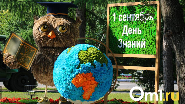 В Омске на флоре сломали крыло сове