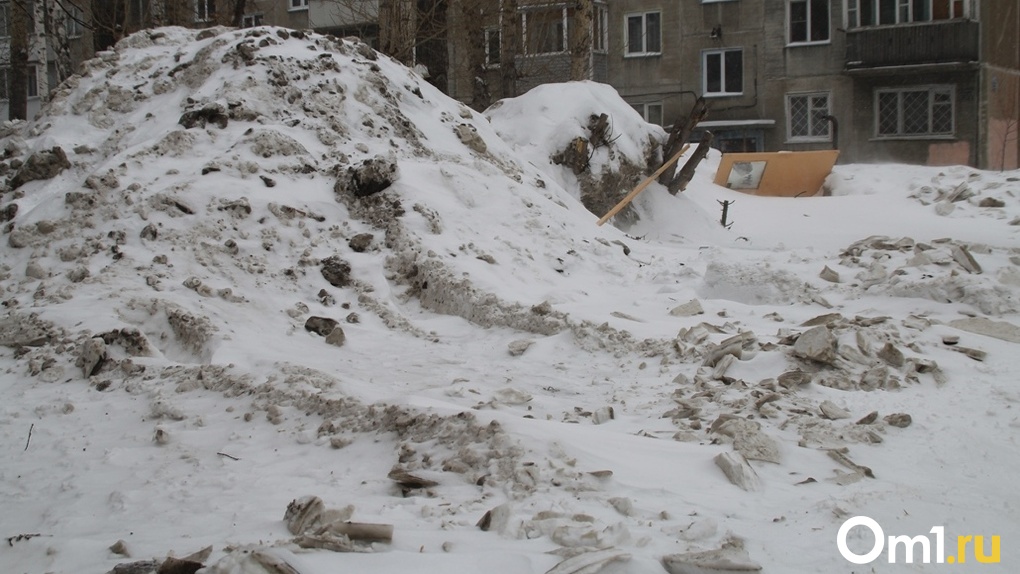 Новосибирские власти отказались строить снегоплавильные станции
