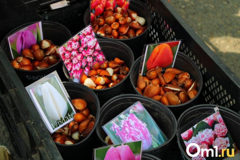 Изображение фоторепортажа