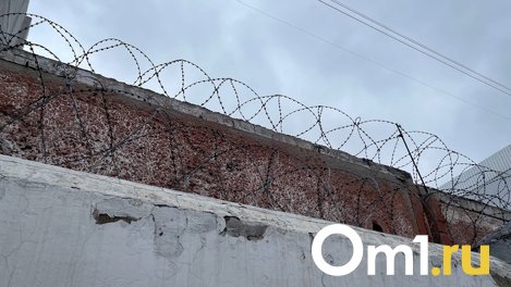 Омича, который нападал на женщин в подъездах, отправили в психлечебницу