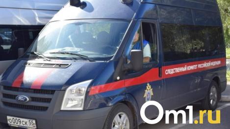 Двое подростков задержаны в Новосибирске за попытку сбыта наркотиков