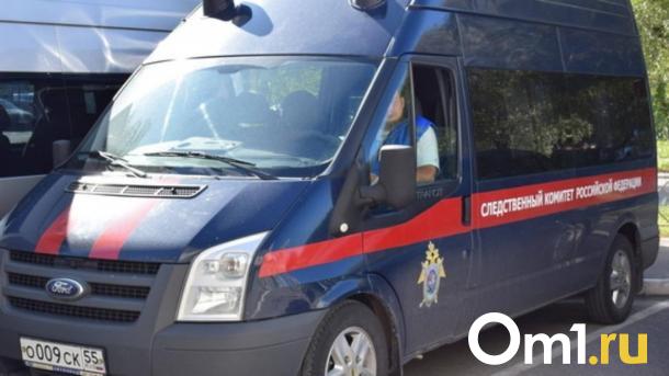 Двое подростков задержаны в Новосибирске за попытку сбыта наркотиков