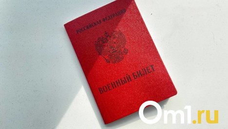 Шесть организаций в Новосибирске помогали уклоняться призывникам от армии