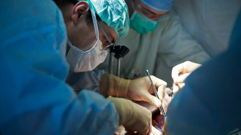 Новосибирские хирурги пересадили часть печени отца 28-летней девушке