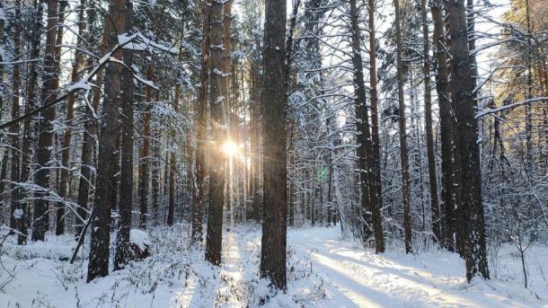 15 января — хороший день для метеозависимых новосибирцев. Астрономы дали позитивный прогноз
