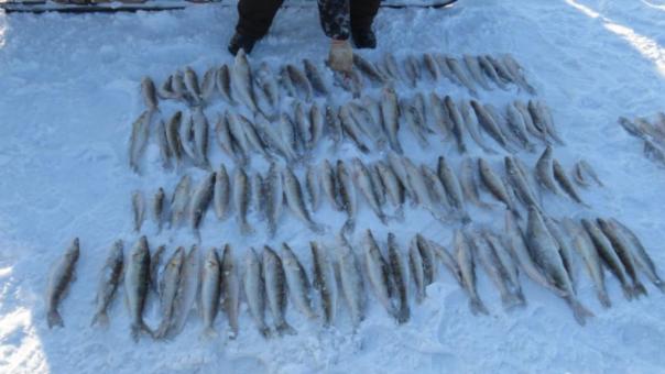 У подозреваемых в браконьерстве новосибирцев изъяли более 12 км рыболовных сетей