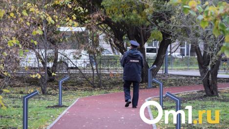 Мизулина обратилась в СК из-за массовой драки подростков в Омске