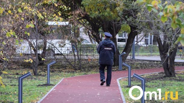 Мизулина обратилась в СК из-за массовой драки подростков в Омске