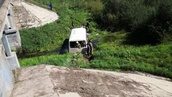 Автобус с детьми съехал в кювет в Новосибирской области