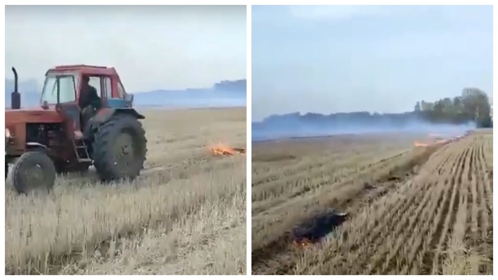 Новосибирский тракторист поджёг поле горящей бороной. ВИДЕО