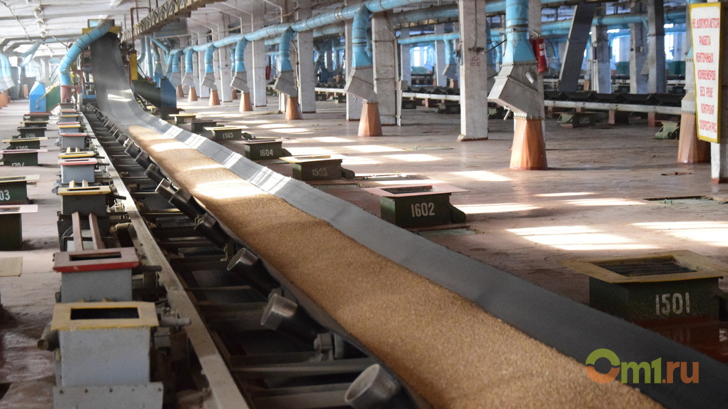 Омское зерно отправляется в Китай и Саудовскую Аравию – репортаж