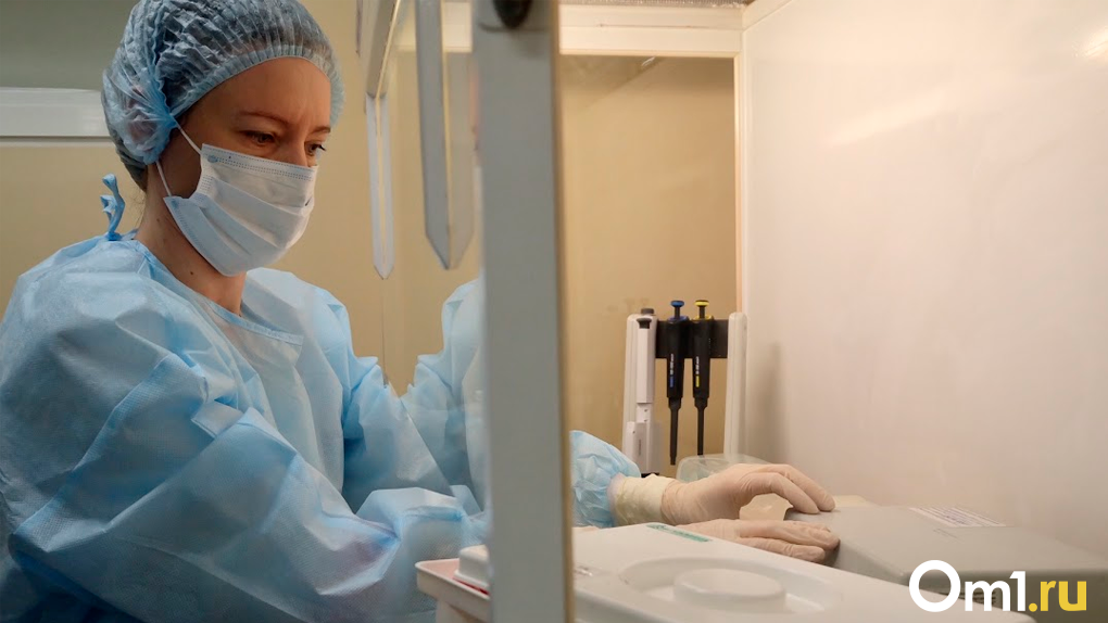В новосибирской клинике Мешалкина хирурги удалили опухоль почки пациенту с редкой аномалией артерий