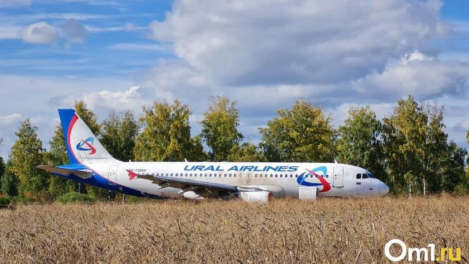 «Признан не годным к работе»: уволили второго пилота рейса Сочи — Омск, совершившего посадку в поле