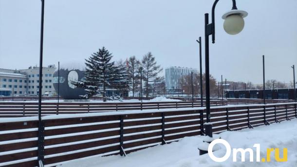 В Омске на площади Бухгольца открылся каток вокруг шара