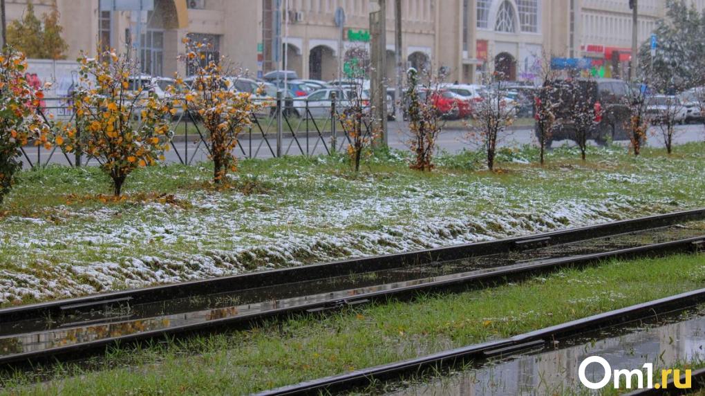 Через неделю в Омской области может выпасть первый снег