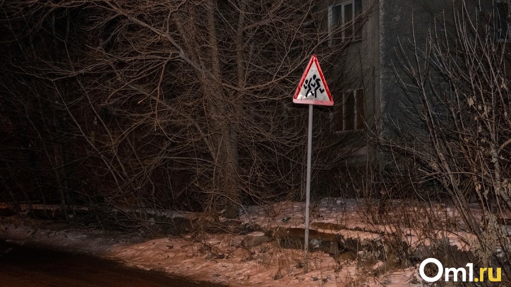 В Омске на трассе автомобиль насмерть сбил пенсионера