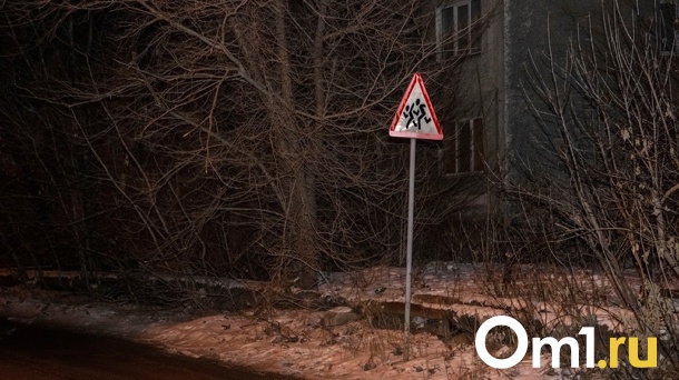 В Омске на трассе автомобиль насмерть сбил пенсионера
