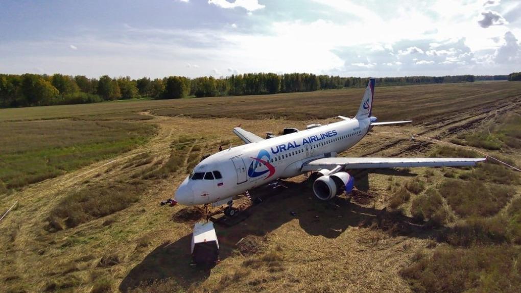 Самолёт «Уральских авиалиний» хотят навсегда оставить в Новосибирской области