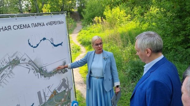 Вице-мэр Терешкова рассказала, как бороться с жарой и пылью в Новосибирске