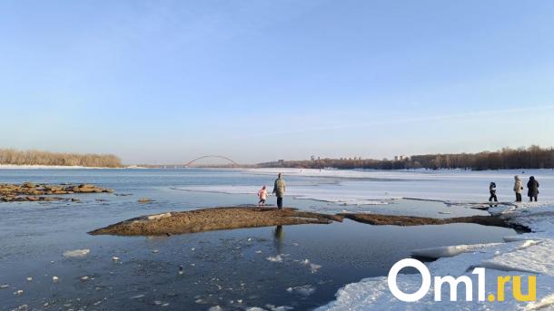 В реках Омской области зафиксировано экстремальное загрязнение марганцем