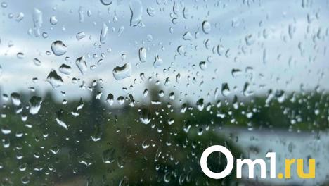 Град и грозы: в Омке объявили штормовое предупреждение