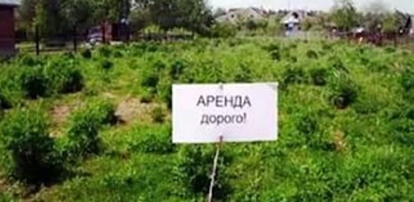 Свободный арендатор земли это