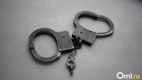 Пациента психбольницы, чуть не убившего медсестру, заключили под стражу в Новосибирске