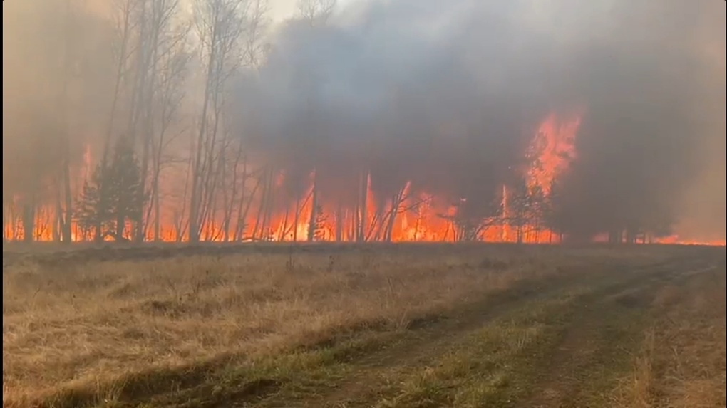 В горящий лес Омской области высадились десантники