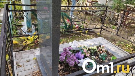 Не поделили дорогу: на кладбище под Омском подрались двое мужчин