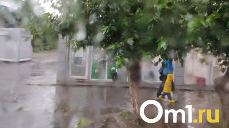 До конца августа в Омске будет всего два дня без дождей