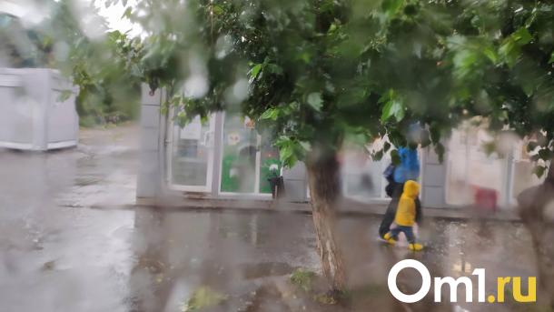 До конца августа в Омске будет всего два дня без дождей