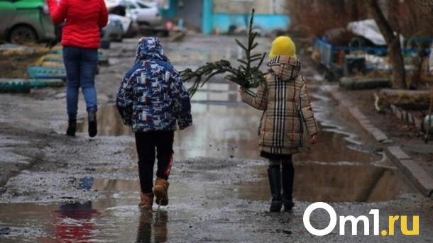 В Новосибирске борются с парковкой на газонах с помощью камер