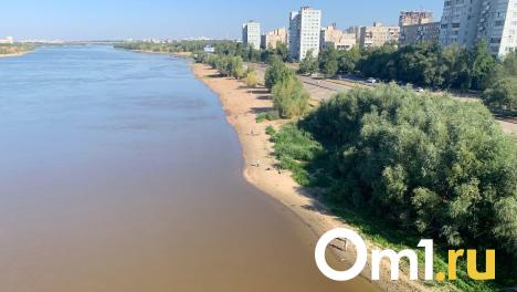 После майских праздников в Омске будет по-летнему тепло