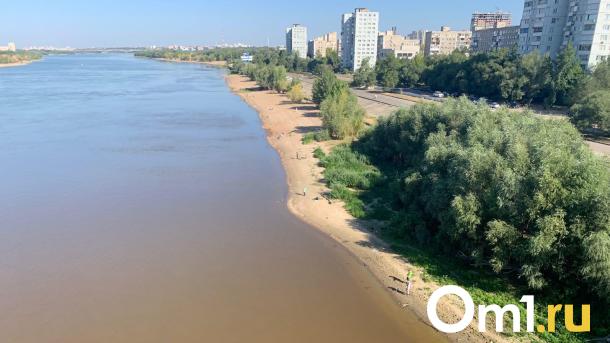 После майских праздников в Омске будет по-летнему тепло