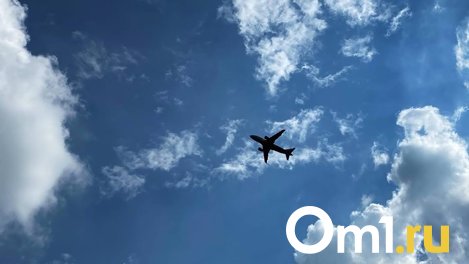 В день аварийной посадки самолёта с омичами проблемы с гидросистемой возникли ещё у двух самолётов