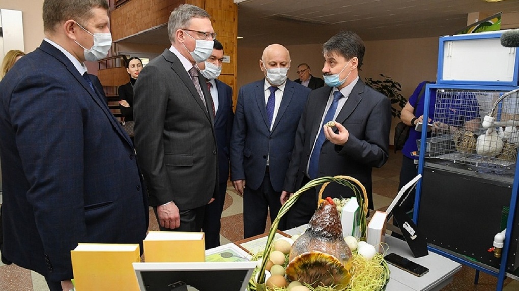 В Омской области начнут возрождать племенное птицеводство, овощеводство и картофель