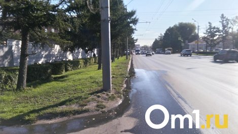 На Интернациональной в Омске запустили автоматические поливалки
