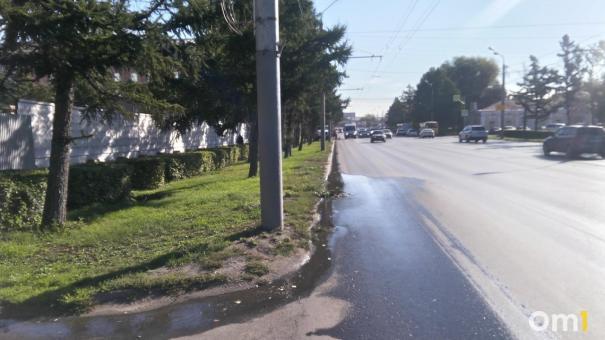 На Интернациональной в Омске запустили автоматические поливалки