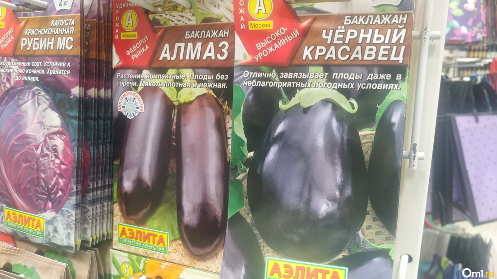 Огород на подоконнике: новосибирский агроном раскрыла секреты выращивания овощей в феврале