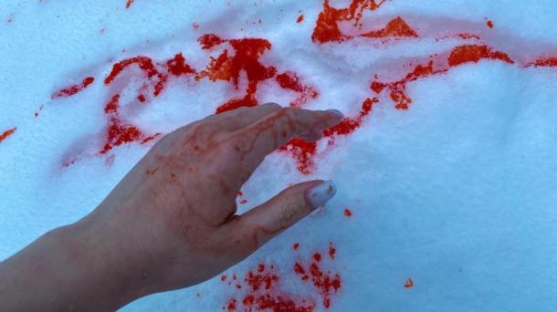 В Новосибирске мать напала на сына с ножом: причина трагедии раскрыта