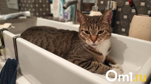 Часть омичей останется без воды на следующей неделе