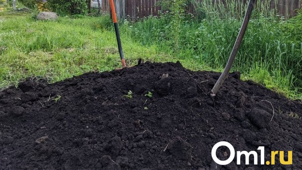 Мэрия Омска сдала в аренду два участка земли в Чукреевке на 20 лет за 8,2 млн рублей