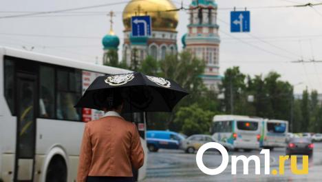 Омичей предупреждают о жаре, грозах и сильном ветре 17 июня