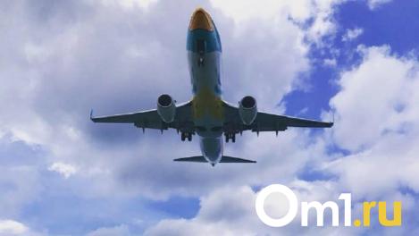 Малыша с редким недугом доставили из Омска в Москву на самолёте за 4 млн рублей